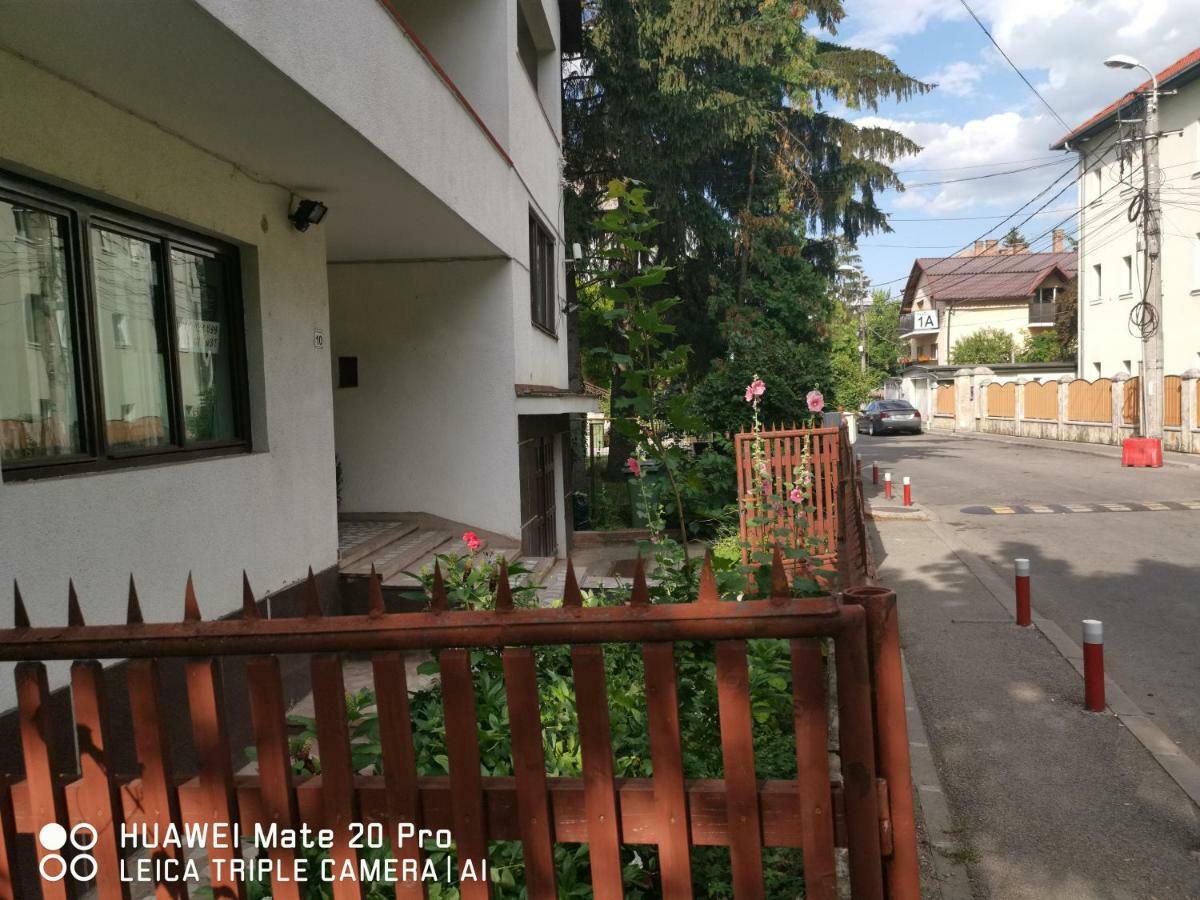 Enjoy Hostel Cluj-Napoca Luaran gambar